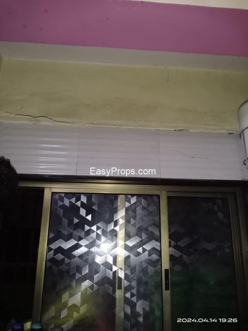 WhatsApp Image 2024-11-12 at 420241112164138492.jpeg